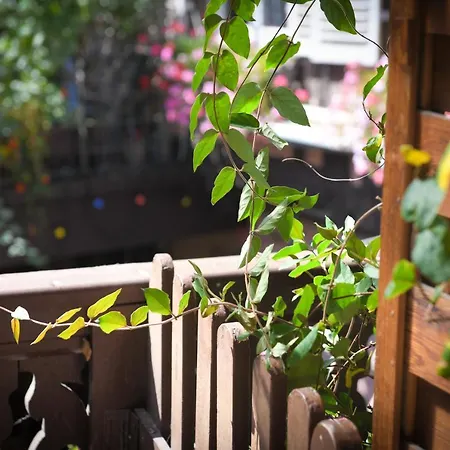 Le Balcon